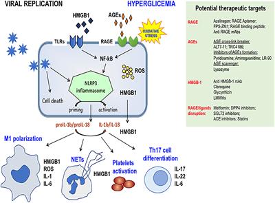 COVID-19 and Diabetes: The Importance of Controlling RAGE